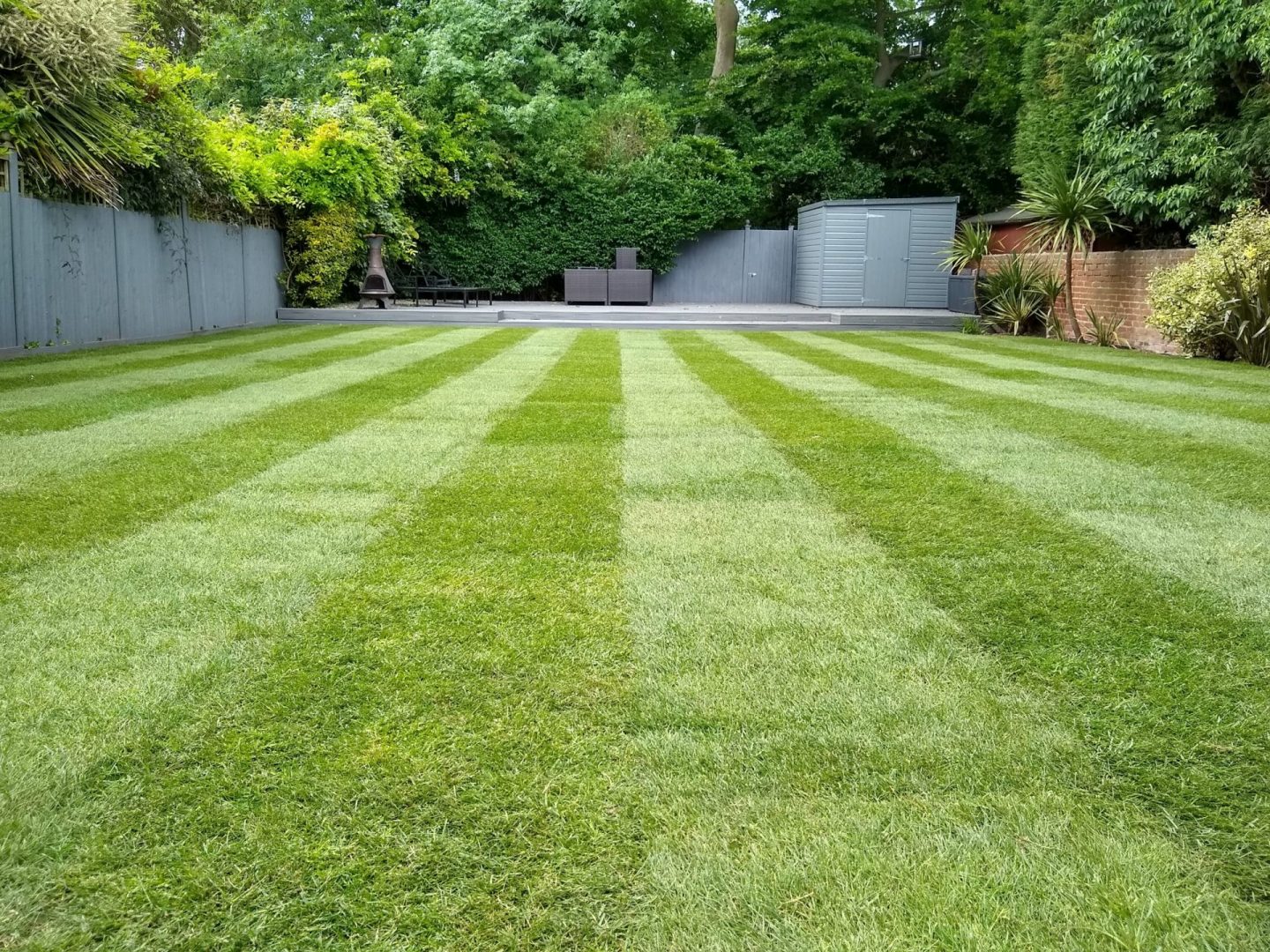 Turf Installation in Salisbury Wiltshire